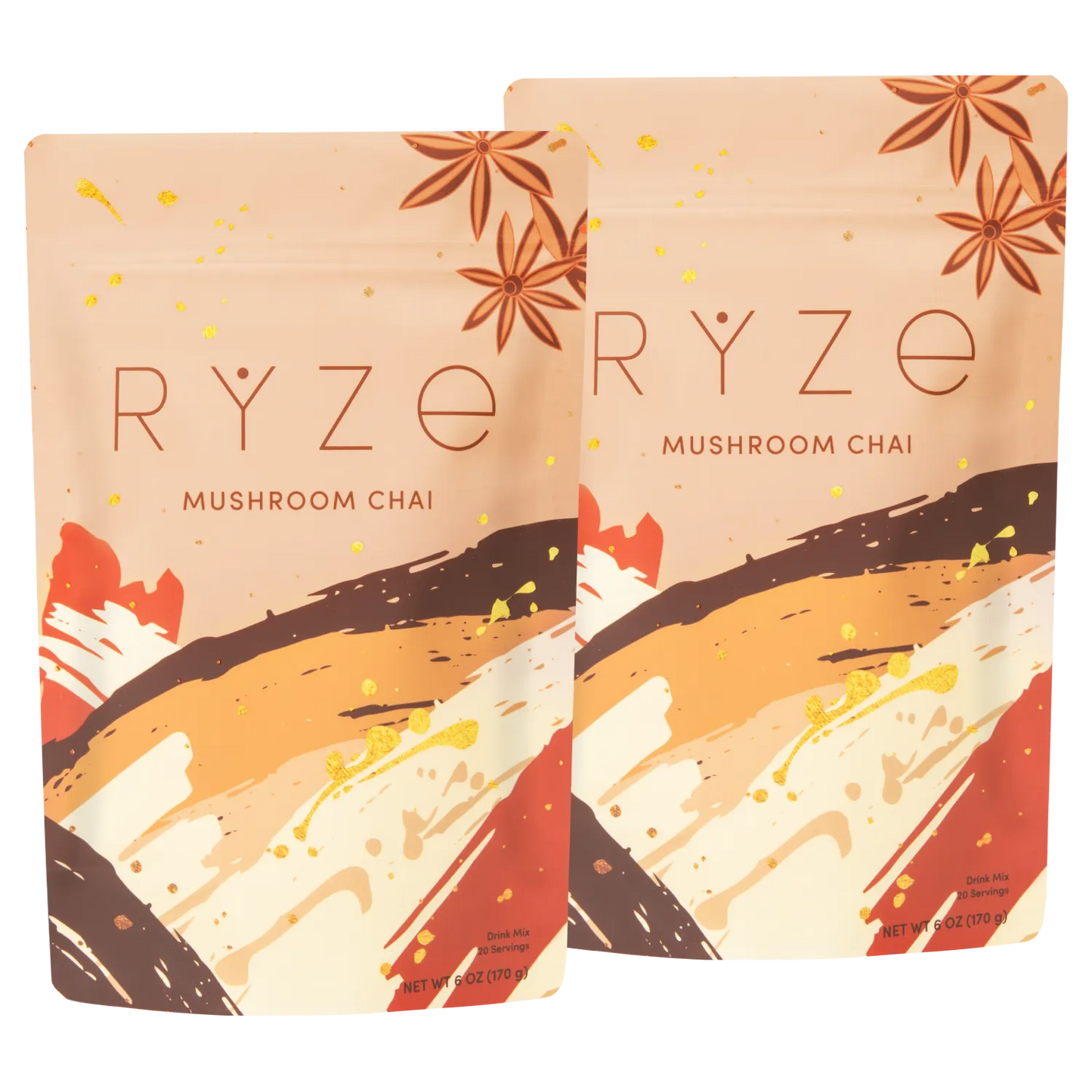 Mushroom Chai Starter Kit: 40 Servings - ANEY