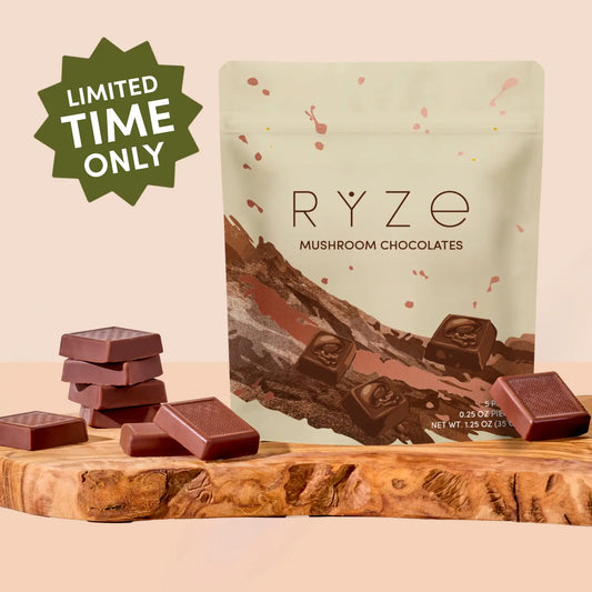 Mushroom Chocolates Rye (15 pieces) - BSG7