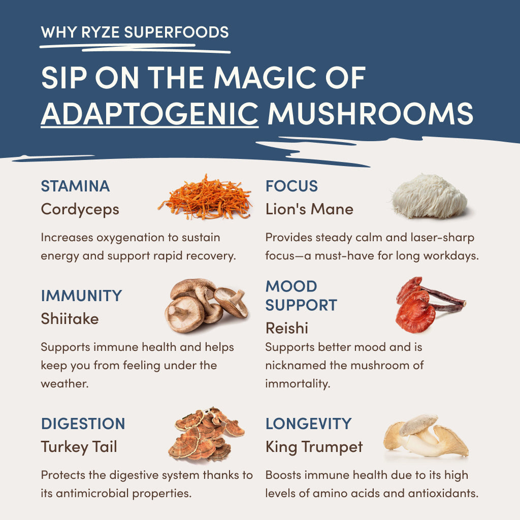RYZE Nighttime Mushroom Cocoa Starter Bag - 3OVS