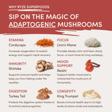 RYZE Mushroom Chai Starter Bag - 5LM4