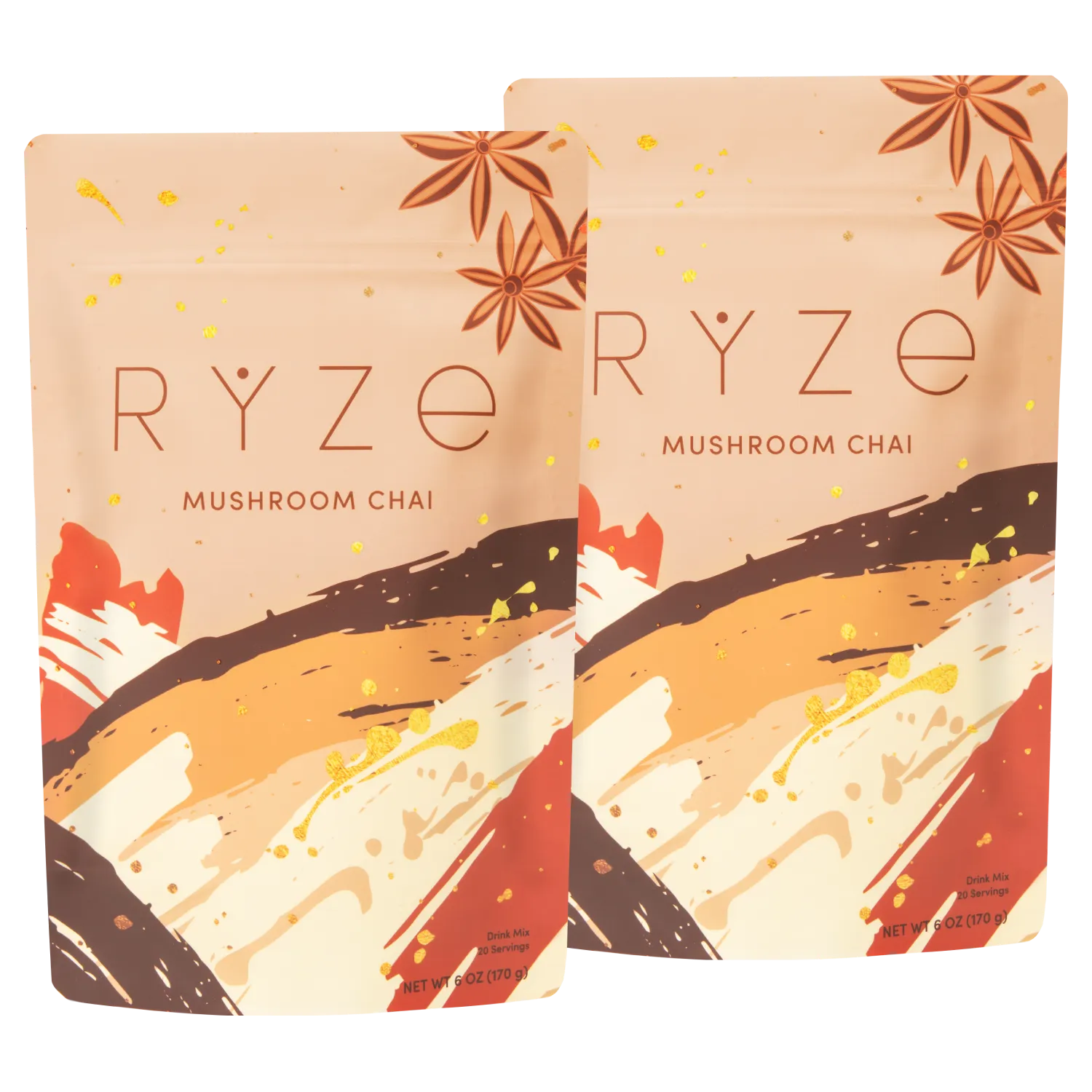 Mushroom Chai Starter Kit: 40 Servings - ANEY