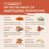 Mushroom Coffee (1 pack - 30 Servings) - A25E