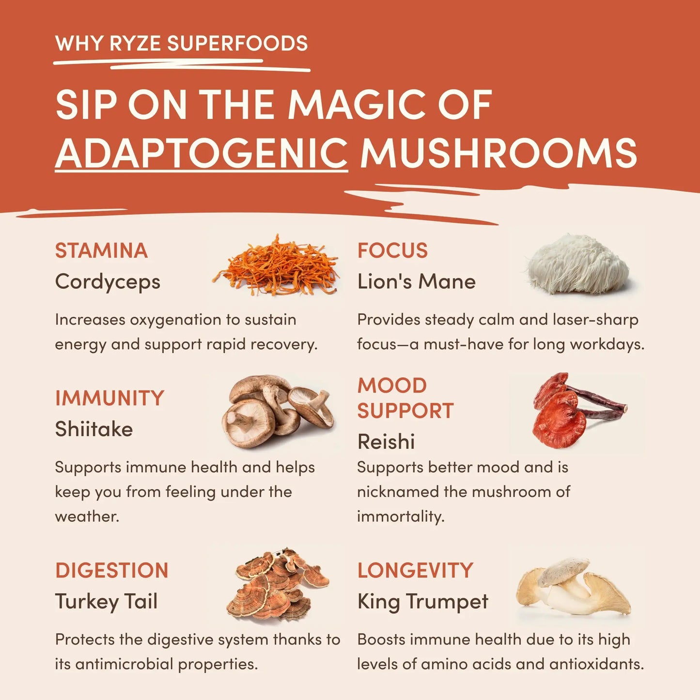 Mushroom Coffee (1 pack - 30 Servings) - A25E