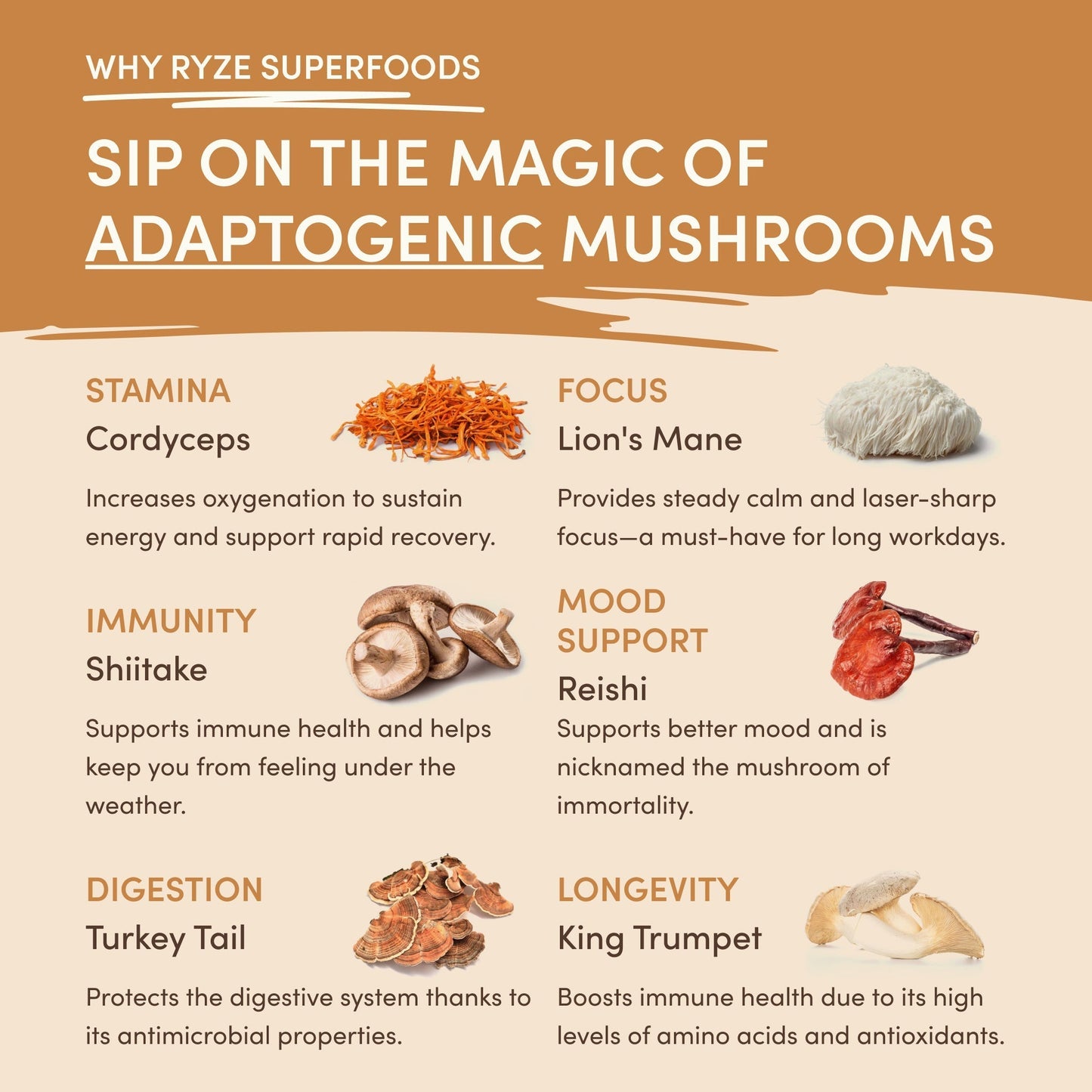 Mushroom Overnight Oats 14 Servings - 7DF1