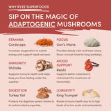 Mushroom Chai (1 Pack - 20 Servings) - JSUQ