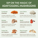 Mushroom Matcha Starter Kit (60 Servings) - FAFJ