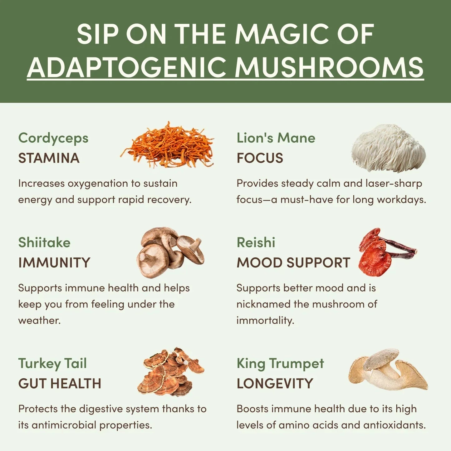 Mushroom Matcha Starter Kit (60 Servings) - FAFJ