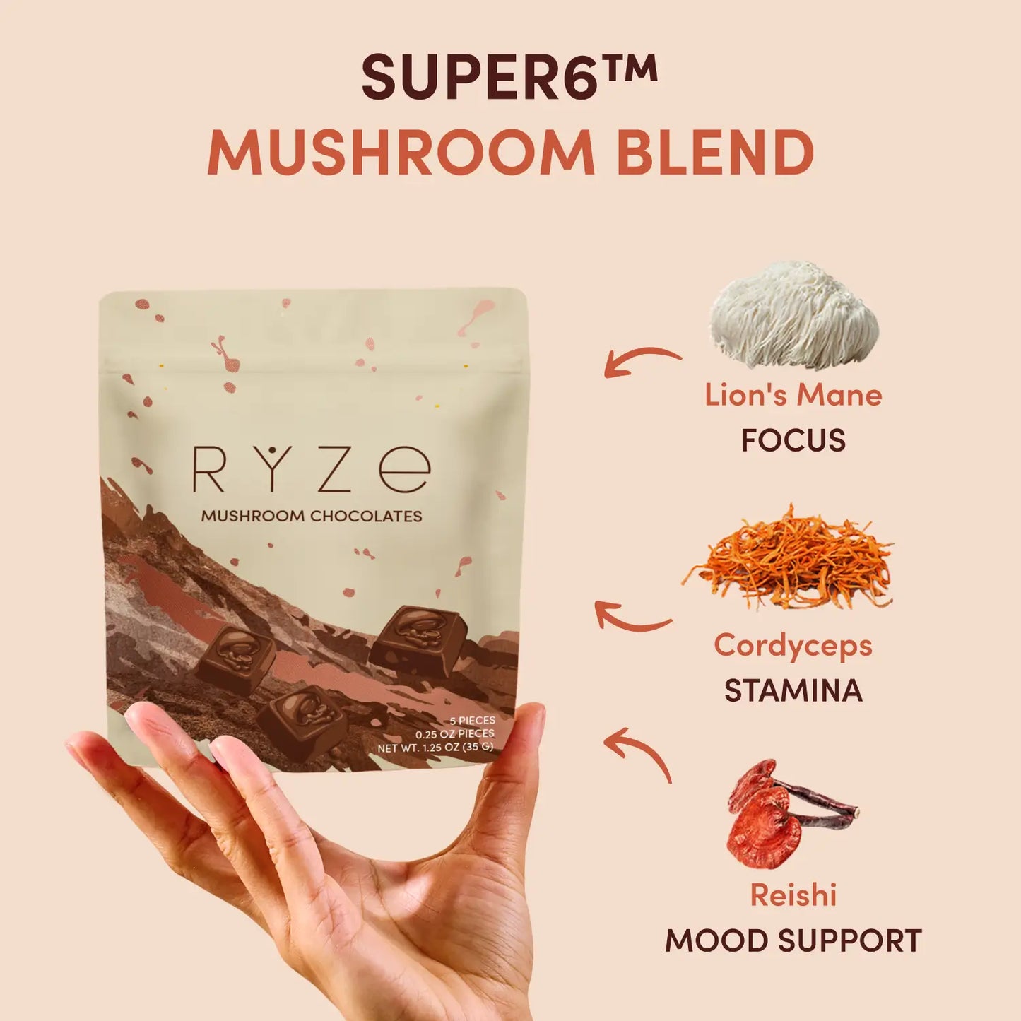 Mushroom Chocolates Rye (15 pieces) - BSG7