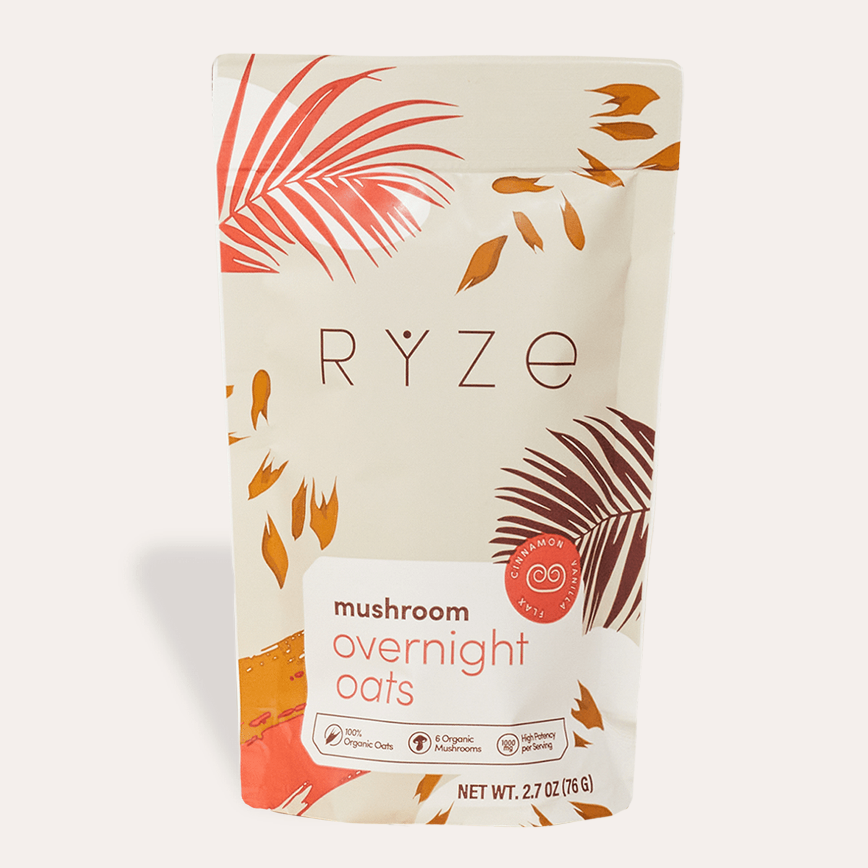 Mushroom Overnight Oats Pack (14 Servings) - C48I
