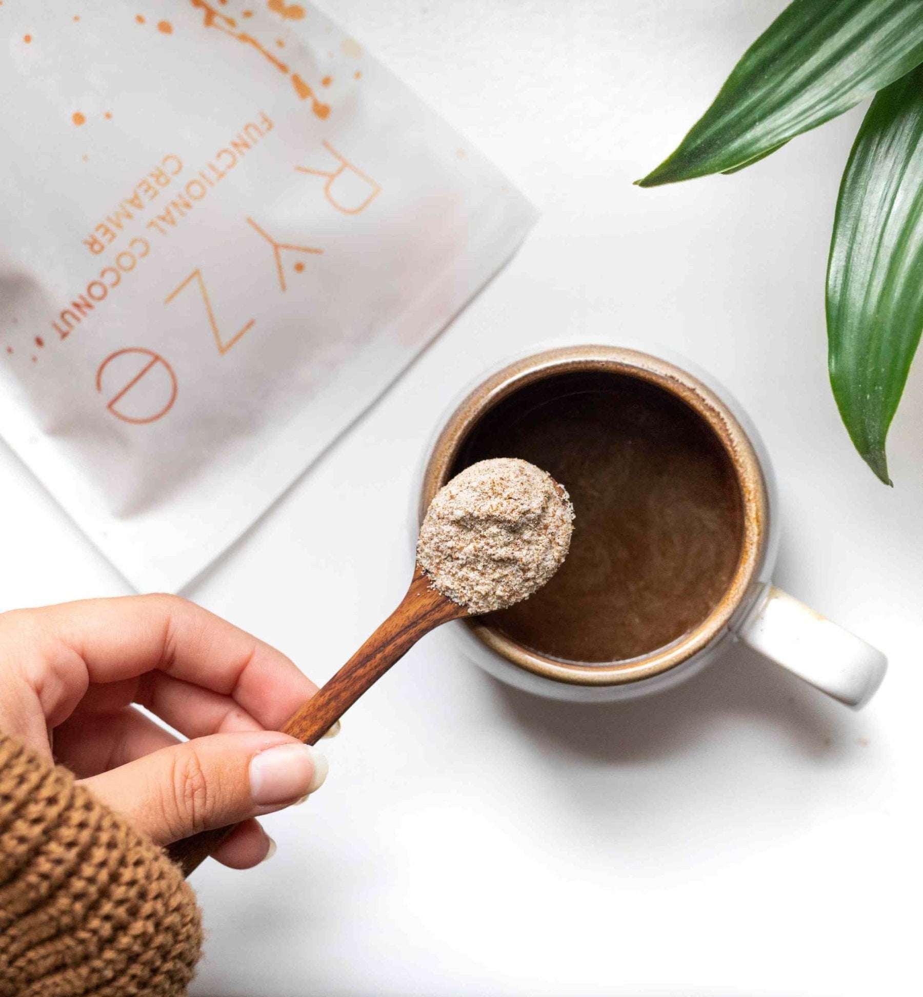 Probiotic Creamer (SPECIAL PRICING) - JIPI