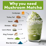 RYZE Mushroom Matcha - with 6 Organic Adaptogenic Mushrooms Grown In USA and Ceremonial-Grade Japanese Matcha - S7DJ