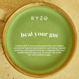 RYZE Mushroom Matcha - with 6 Organic Adaptogenic Mushrooms Grown In USA and Ceremonial-Grade Japanese Matcha - S7DJ