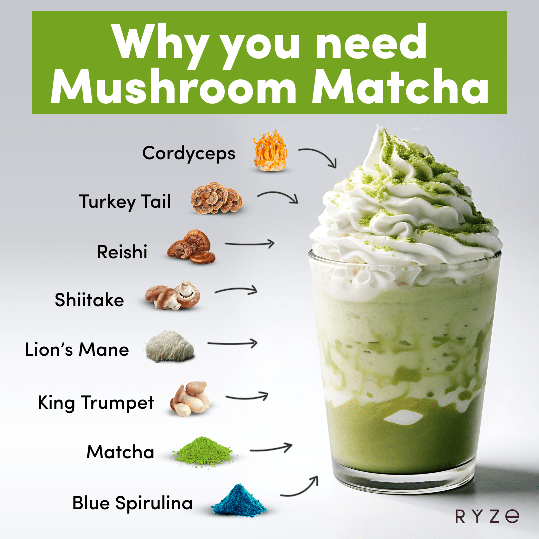 RYZE Organic Mushroom Matcha Starter Kit (60 servings) - UONM