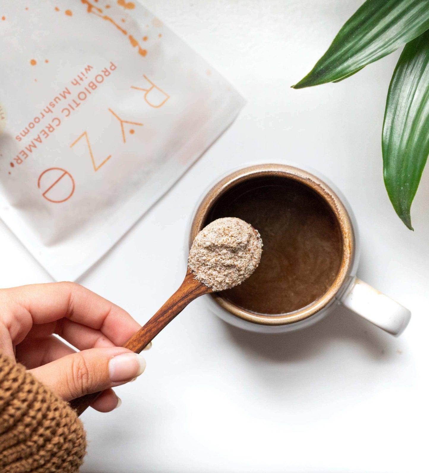 Try our Probiotic Creamer for 50% OFF! - XME6