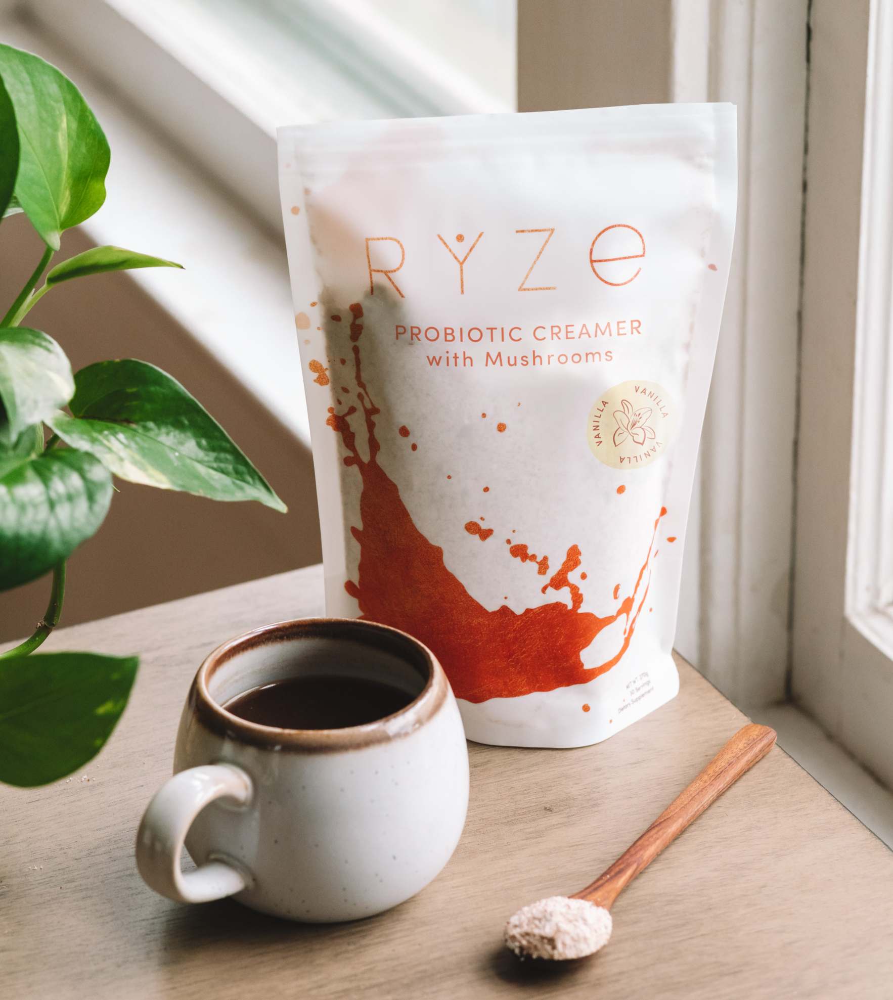 Try our Probiotic Creamer for 50% OFF! - XME6